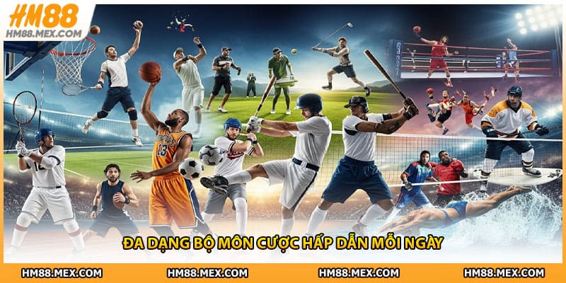 Đa dạng bộ môn cược hấp dẫn mỗi ngày